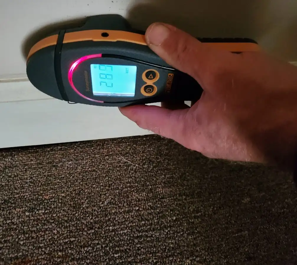 Moisture detection at baseboard during Sewage Cleanup & Sanitation in Long Grove
